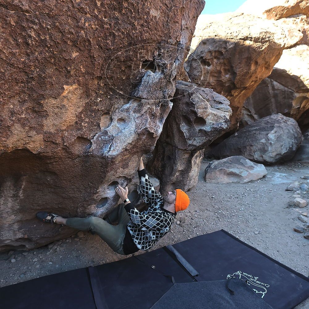 

Filename: SRM_20231210_1001150.jpg
Aperture: f/5.6
Shutter Speed: 1/320
Body: Canon EOS R6
Lens: Canon EF 16-35mm f/2.8 L