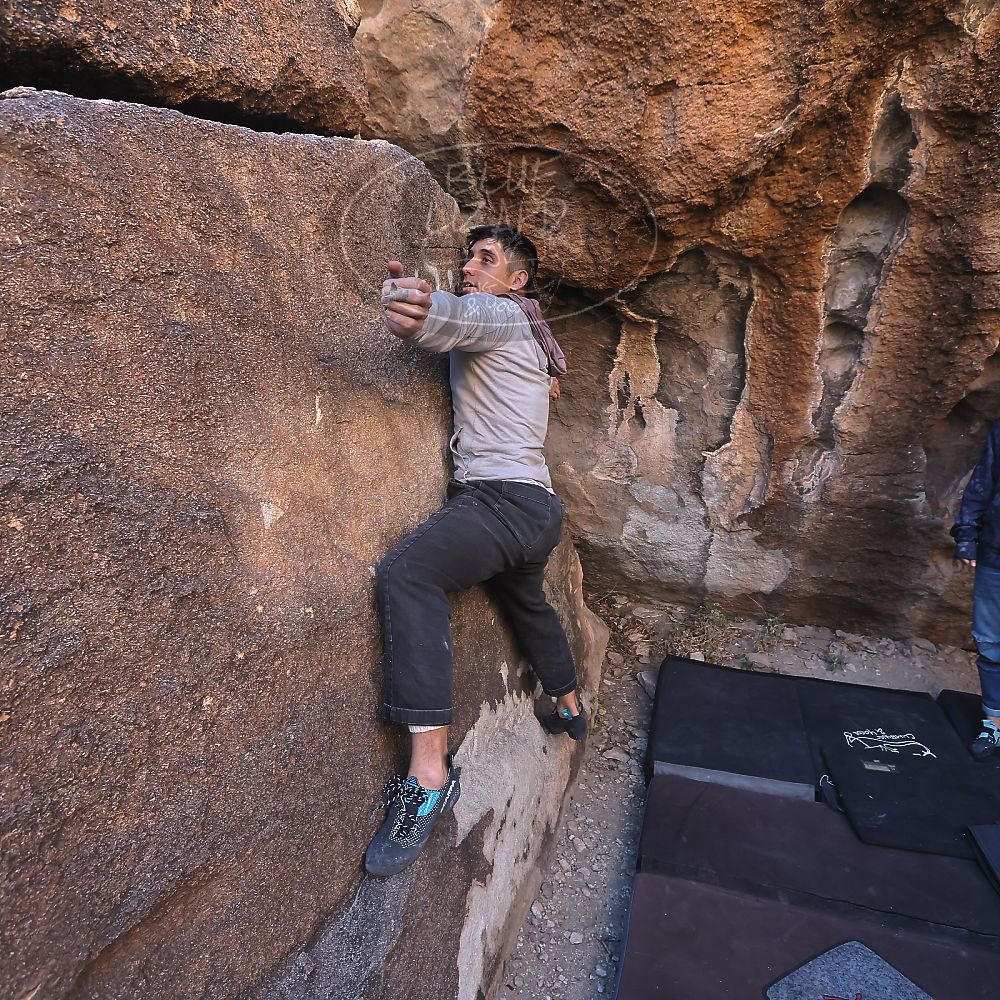 

Filename: SRM_20231210_1031540.jpg
Aperture: f/5.6
Shutter Speed: 1/400
Body: Canon EOS R6
Lens: Canon EF 16-35mm f/2.8 L