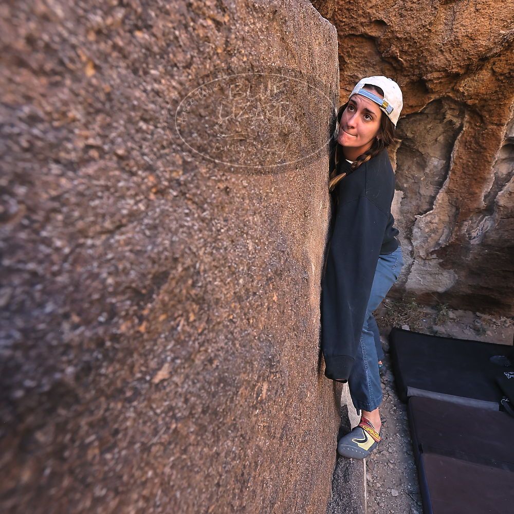 

Filename: SRM_20231210_1043480.jpg
Aperture: f/5.6
Shutter Speed: 1/250
Body: Canon EOS R6
Lens: Canon EF 16-35mm f/2.8 L