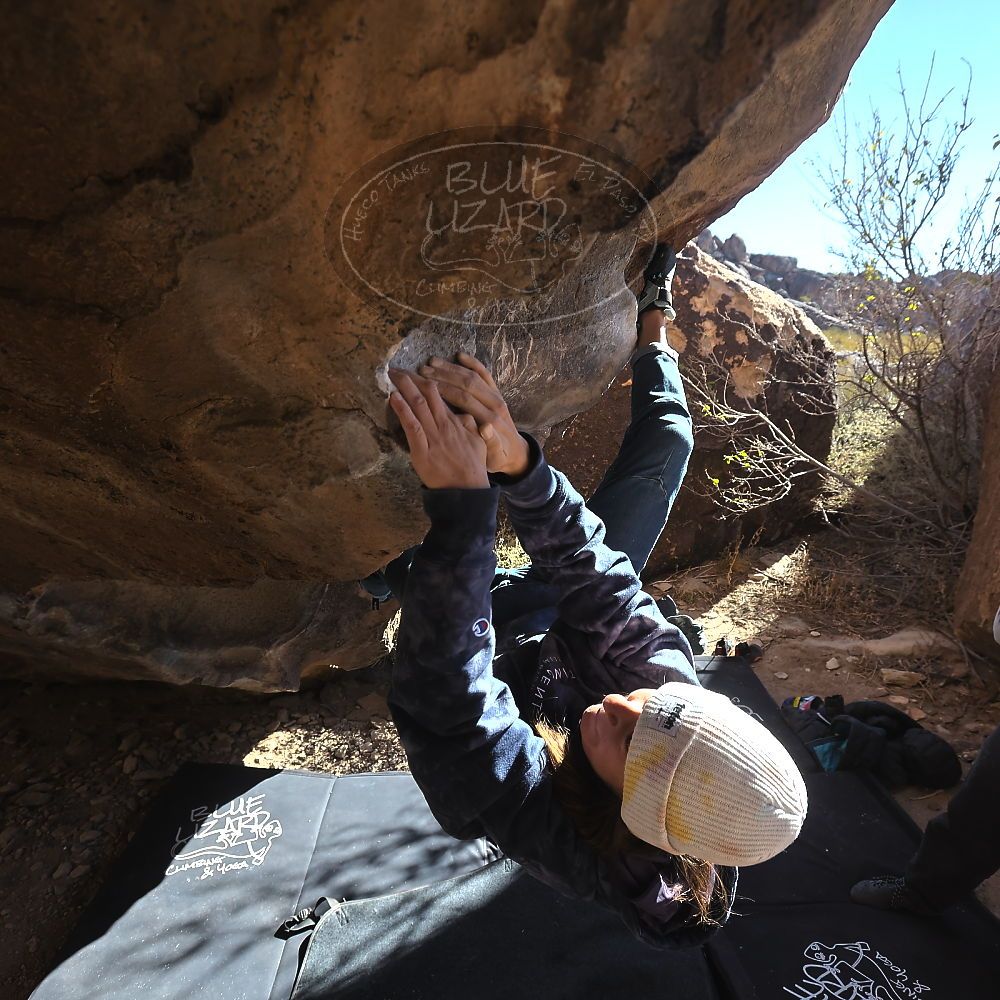 

Filename: SRM_20231210_1128320.jpg
Aperture: f/5.6
Shutter Speed: 1/500
Body: Canon EOS R6
Lens: Canon EF 16-35mm f/2.8 L