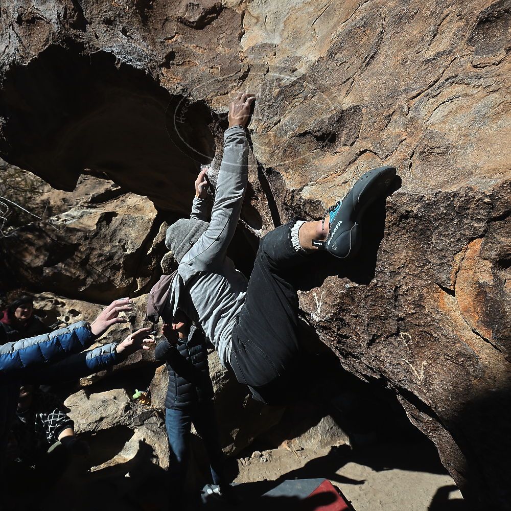 

Filename: SRM_20231210_1209370.jpg
Aperture: f/5.6
Shutter Speed: 1/1600
Body: Canon EOS R6
Lens: Canon EF 16-35mm f/2.8 L