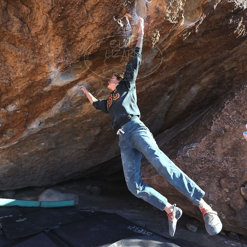 

Filename: SRM_20231210_1436433.jpg
Aperture: f/5.6
Shutter Speed: 1/1250
Body: Canon EOS R6
Lens: Canon EF 16-35mm f/2.8 L