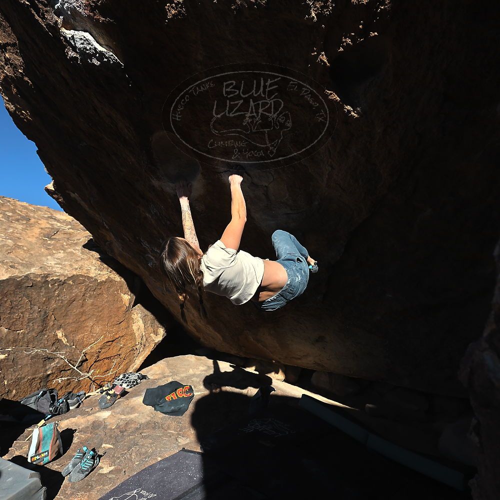 

Filename: SRM_20231210_1451140.jpg
Aperture: f/5.6
Shutter Speed: 1/1250
Body: Canon EOS R6
Lens: Canon EF 16-35mm f/2.8 L