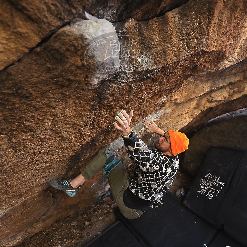 

Filename: SRM_20231210_1534471.jpg
Aperture: f/4.0
Shutter Speed: 1/320
Body: Canon EOS R6
Lens: Canon EF 16-35mm f/2.8 L