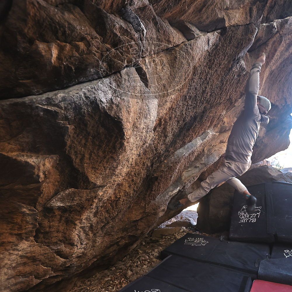 

Filename: SRM_20231210_1549190.jpg
Aperture: f/4.0
Shutter Speed: 1/320
Body: Canon EOS R6
Lens: Canon EF 16-35mm f/2.8 L