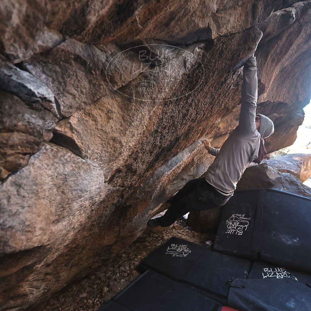 

Filename: SRM_20231210_1621310.jpg
Aperture: f/3.2
Shutter Speed: 1/320
Body: Canon EOS R6
Lens: Canon EF 16-35mm f/2.8 L