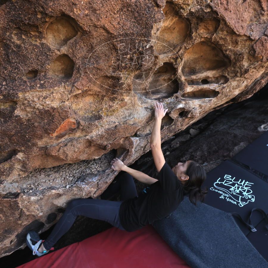 Filename: SRM_20231222_1058330.jpg
Aperture: f/5.6
Shutter Speed: 1/500
Body: Canon EOS R6
Lens: Canon EF 16-35mm f/2.8 L