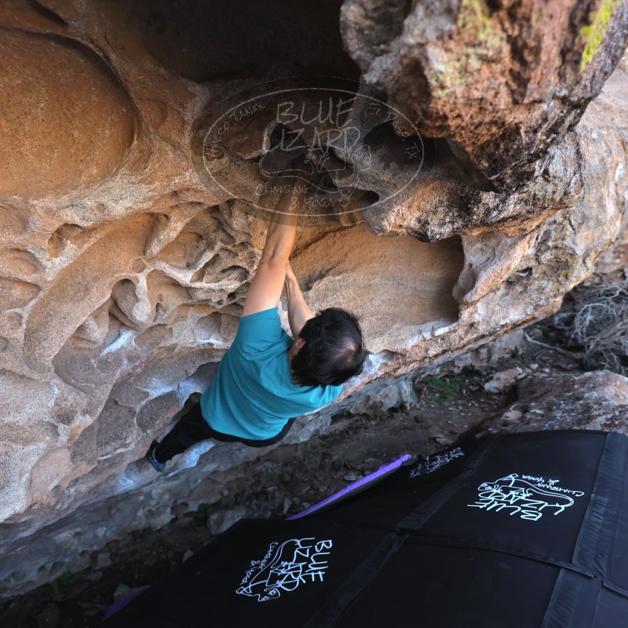 

Filename: SRM_20231222_1121290.jpg
Aperture: f/4.0
Shutter Speed: 1/500
Body: Canon EOS R6
Lens: Canon EF 16-35mm f/2.8 L