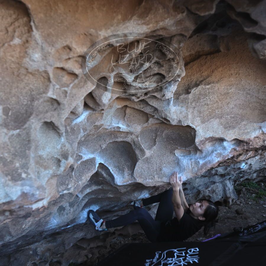 Filename: SRM_20231222_1127250.jpg
Aperture: f/4.0
Shutter Speed: 1/500
Body: Canon EOS R6
Lens: Canon EF 16-35mm f/2.8 L