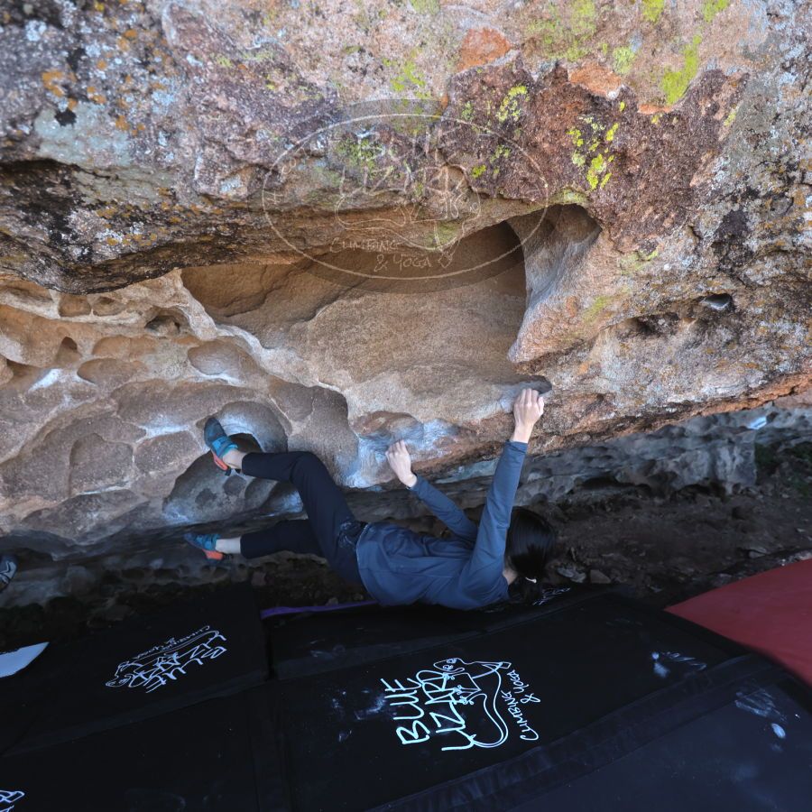 

Filename: SRM_20231222_1130010.jpg
Aperture: f/4.0
Shutter Speed: 1/500
Body: Canon EOS R6
Lens: Canon EF 16-35mm f/2.8 L