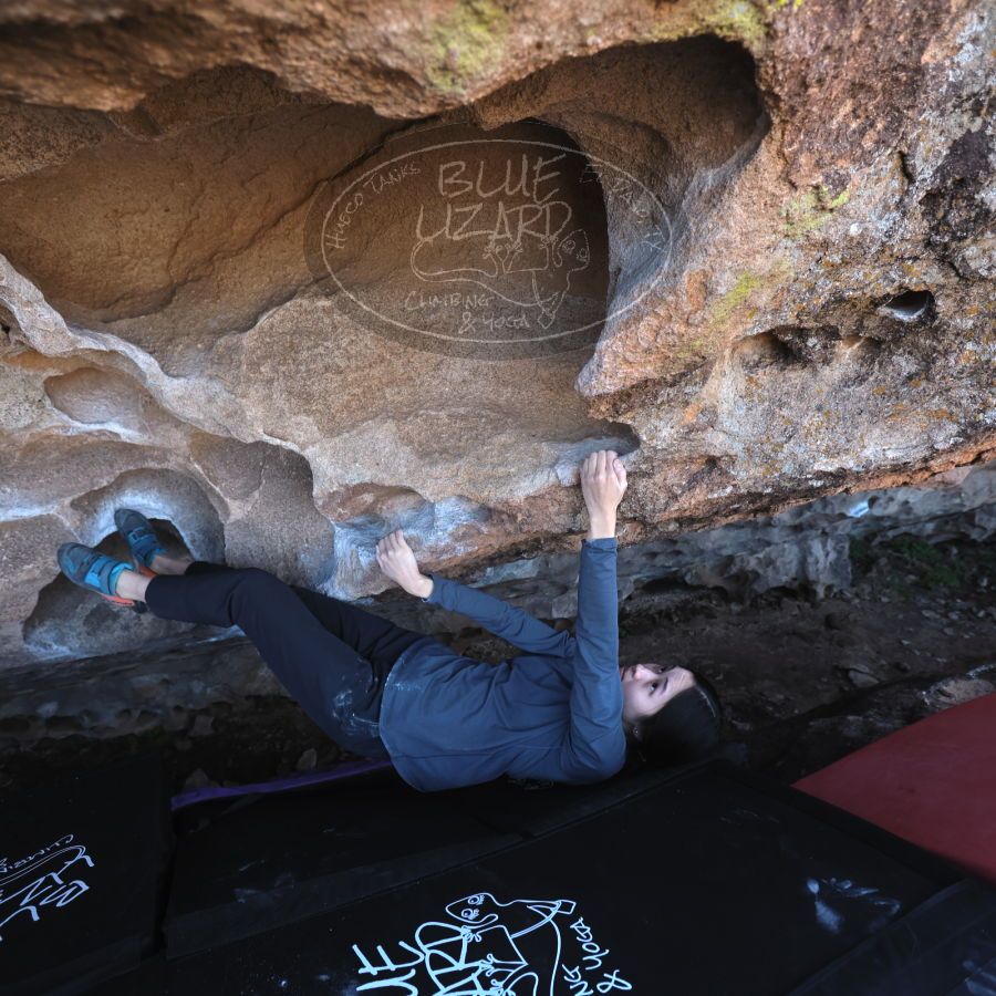 

Filename: SRM_20231222_1130020.jpg
Aperture: f/4.0
Shutter Speed: 1/500
Body: Canon EOS R6
Lens: Canon EF 16-35mm f/2.8 L