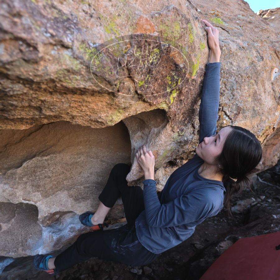 Filename: SRM_20231222_1130410.jpg
Aperture: f/4.0
Shutter Speed: 1/500
Body: Canon EOS R6
Lens: Canon EF 16-35mm f/2.8 L