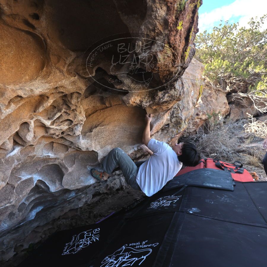 Filename: SRM_20231222_1135200.jpg
Aperture: f/4.0
Shutter Speed: 1/500
Body: Canon EOS R6
Lens: Canon EF 16-35mm f/2.8 L