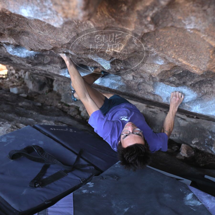 Filename: SRM_20231222_1144180.jpg
Aperture: f/4.0
Shutter Speed: 1/500
Body: Canon EOS R6
Lens: Canon EF 16-35mm f/2.8 L