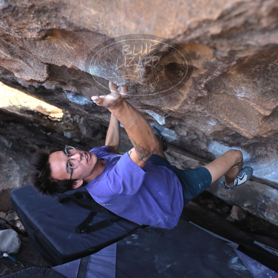 Filename: SRM_20231222_1144240.jpg
Aperture: f/4.0
Shutter Speed: 1/500
Body: Canon EOS R6
Lens: Canon EF 16-35mm f/2.8 L