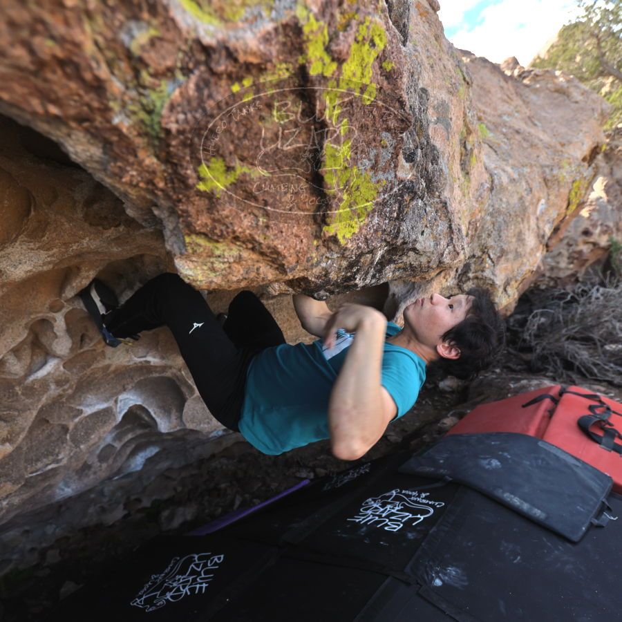 Filename: SRM_20231222_1147570.jpg
Aperture: f/4.0
Shutter Speed: 1/500
Body: Canon EOS R6
Lens: Canon EF 16-35mm f/2.8 L