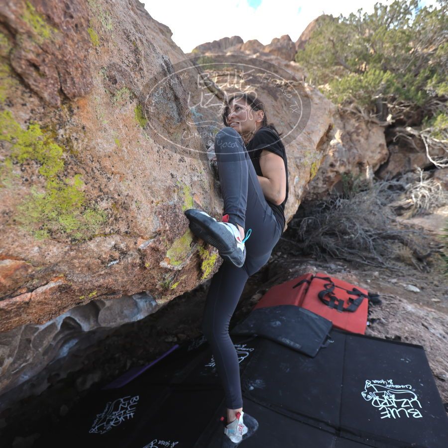 Filename: SRM_20231222_1149320.jpg
Aperture: f/4.0
Shutter Speed: 1/500
Body: Canon EOS R6
Lens: Canon EF 16-35mm f/2.8 L