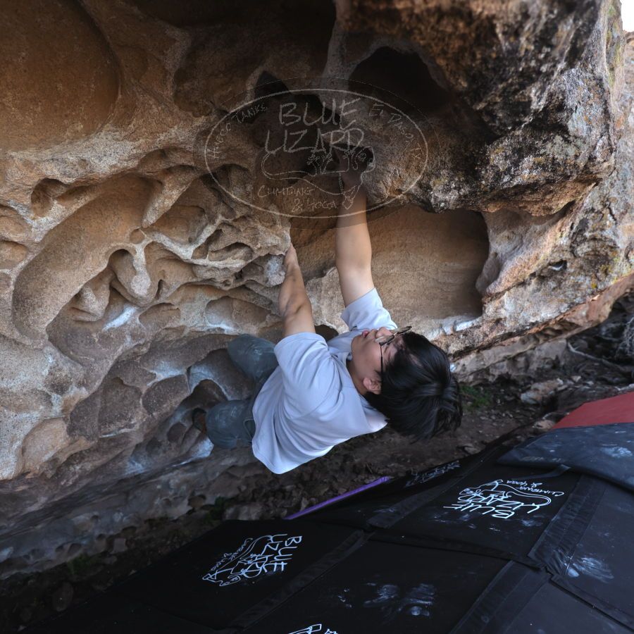 Filename: SRM_20231222_1151130.jpg
Aperture: f/4.0
Shutter Speed: 1/500
Body: Canon EOS R6
Lens: Canon EF 16-35mm f/2.8 L