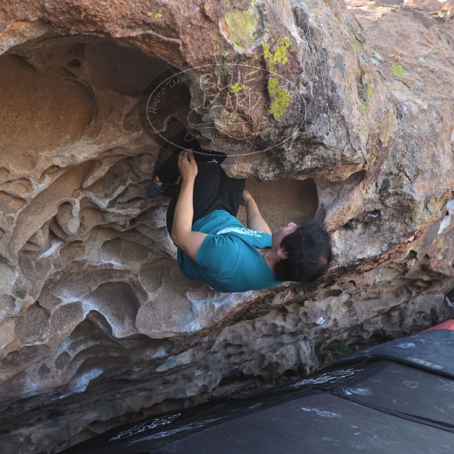 Filename: SRM_20231222_1154070.jpg
Aperture: f/4.0
Shutter Speed: 1/500
Body: Canon EOS R6
Lens: Canon EF 16-35mm f/2.8 L