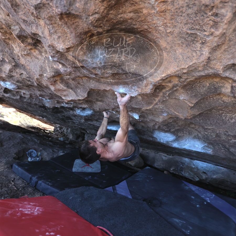 Filename: SRM_20231222_1203041.jpg
Aperture: f/4.0
Shutter Speed: 1/500
Body: Canon EOS R6
Lens: Canon EF 16-35mm f/2.8 L