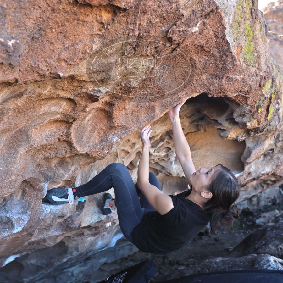 Filename: SRM_20231222_1226180.jpg
Aperture: f/4.0
Shutter Speed: 1/500
Body: Canon EOS R6
Lens: Canon EF 16-35mm f/2.8 L