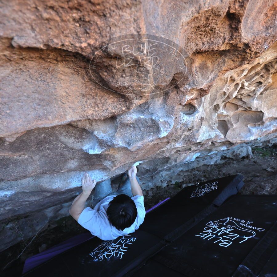 Filename: SRM_20231222_1229590.jpg
Aperture: f/4.0
Shutter Speed: 1/500
Body: Canon EOS R6
Lens: Canon EF 16-35mm f/2.8 L