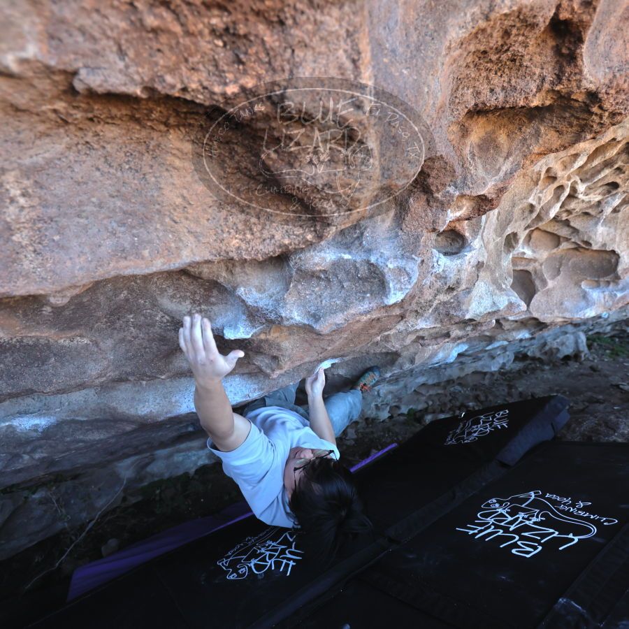 Filename: SRM_20231222_1230020.jpg
Aperture: f/4.0
Shutter Speed: 1/500
Body: Canon EOS R6
Lens: Canon EF 16-35mm f/2.8 L