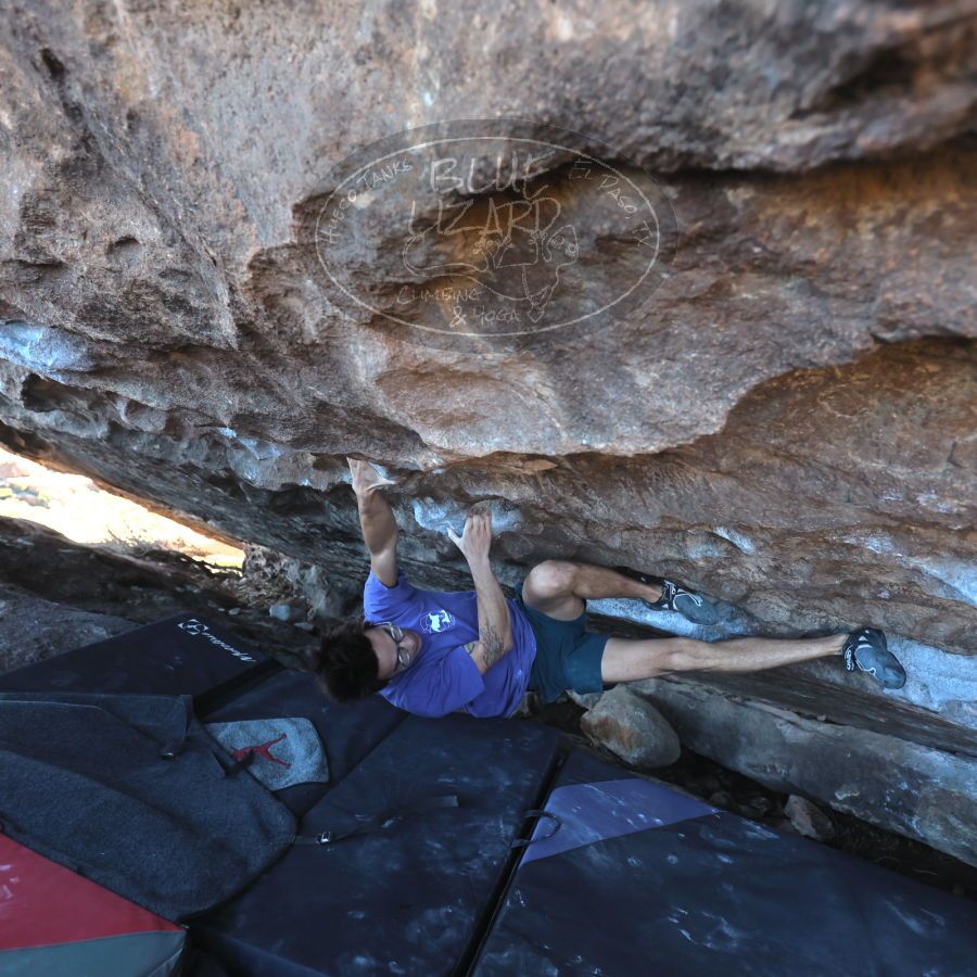 Filename: SRM_20231222_1238520.jpg
Aperture: f/4.0
Shutter Speed: 1/500
Body: Canon EOS R6
Lens: Canon EF 16-35mm f/2.8 L