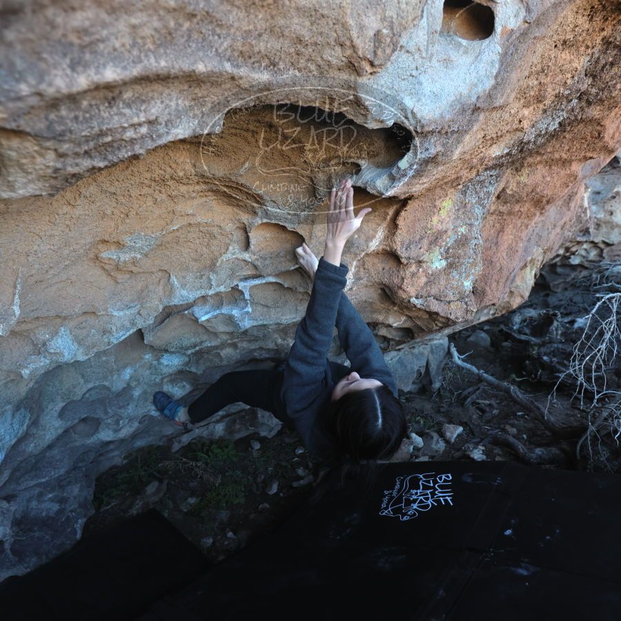 Filename: SRM_20231222_1305520.jpg
Aperture: f/3.5
Shutter Speed: 1/500
Body: Canon EOS R6
Lens: Canon EF 16-35mm f/2.8 L