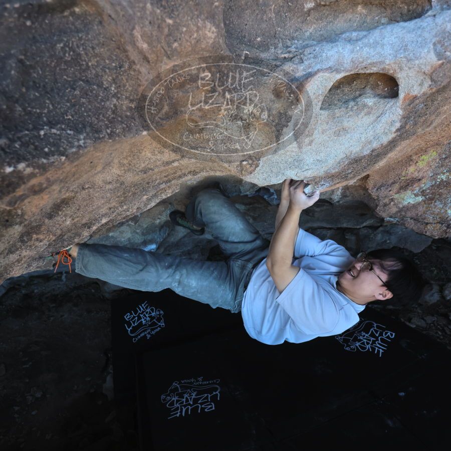 Filename: SRM_20231222_1307430.jpg
Aperture: f/3.5
Shutter Speed: 1/500
Body: Canon EOS R6
Lens: Canon EF 16-35mm f/2.8 L