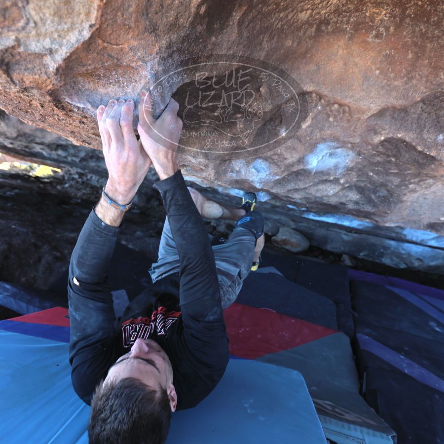 Filename: SRM_20231222_1328360.jpg
Aperture: f/4.0
Shutter Speed: 1/500
Body: Canon EOS R6
Lens: Canon EF 16-35mm f/2.8 L