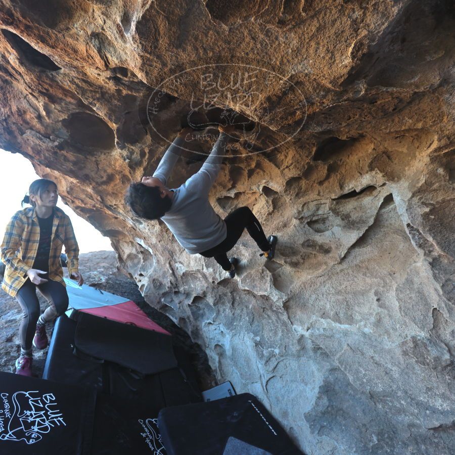 Filename: SRM_20231222_1355460.jpg
Aperture: f/4.0
Shutter Speed: 1/500
Body: Canon EOS R6
Lens: Canon EF 16-35mm f/2.8 L