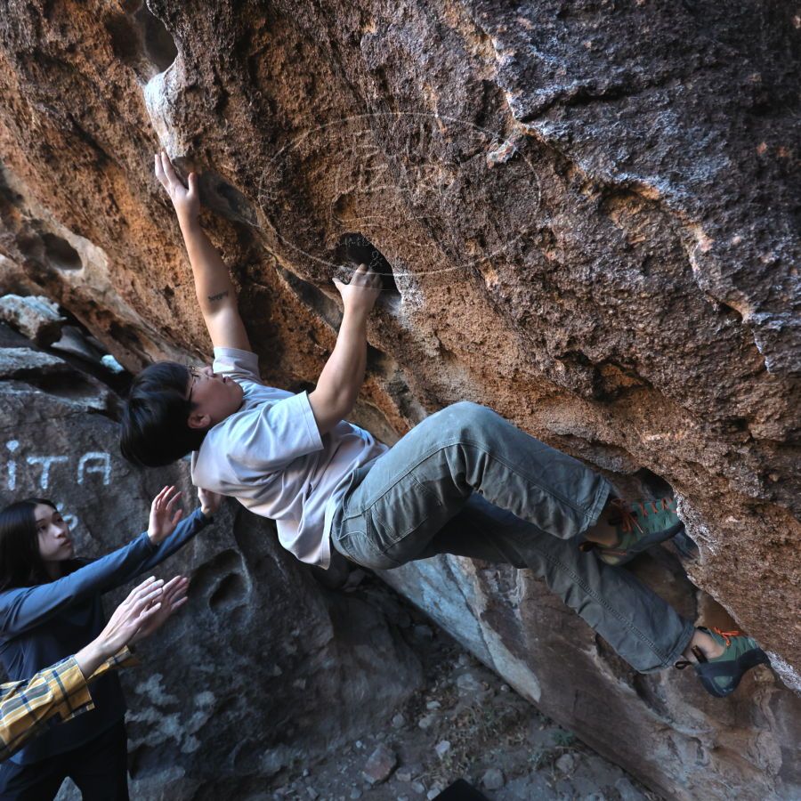 

Filename: SRM_20231222_1548130.jpg
Aperture: f/4.0
Shutter Speed: 1/500
Body: Canon EOS R6
Lens: Canon EF 16-35mm f/2.8 L