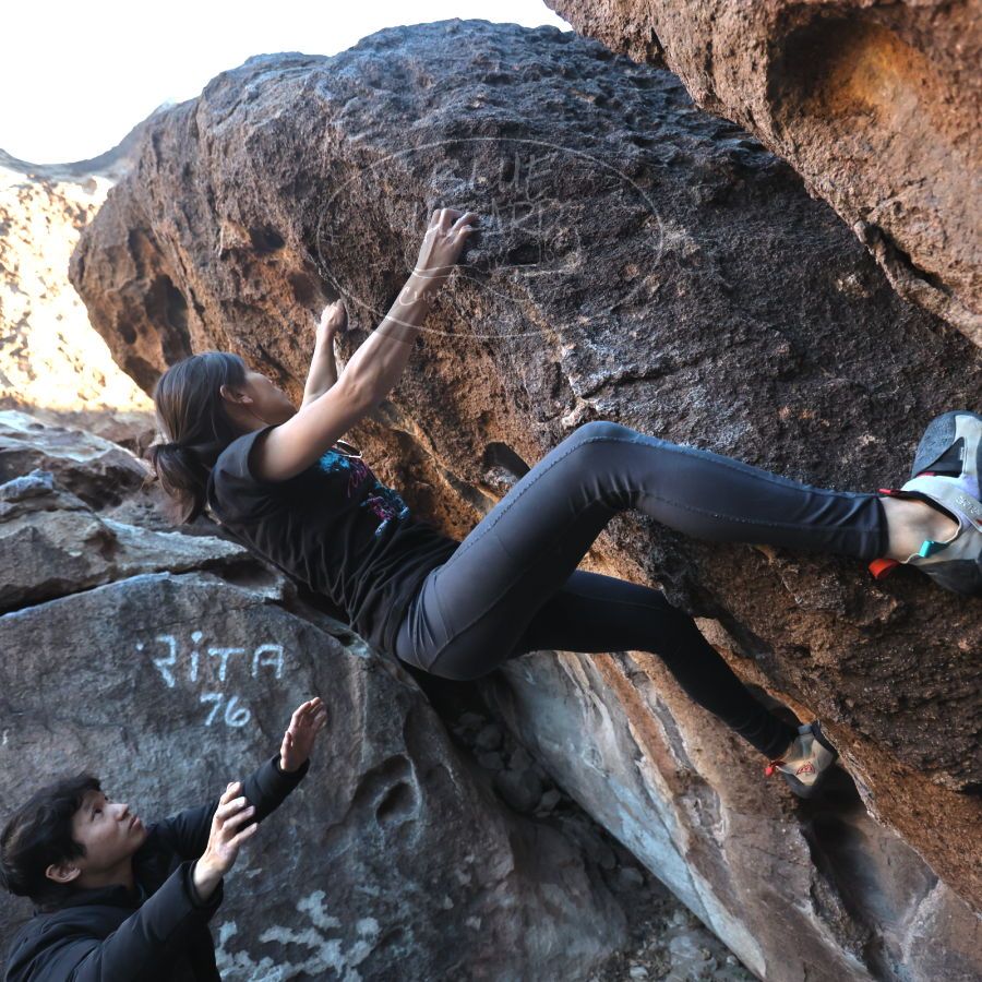 Filename: SRM_20231222_1558450.jpg
Aperture: f/4.0
Shutter Speed: 1/500
Body: Canon EOS R6
Lens: Canon EF 16-35mm f/2.8 L