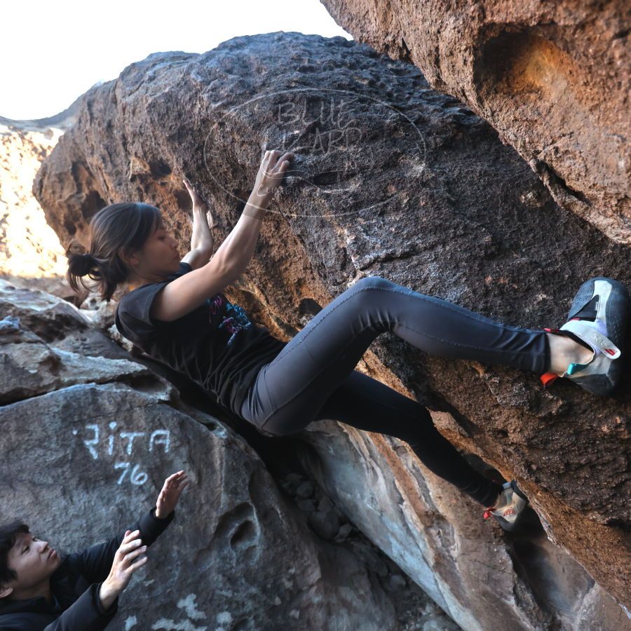 Filename: SRM_20231222_1558480.jpg
Aperture: f/4.0
Shutter Speed: 1/500
Body: Canon EOS R6
Lens: Canon EF 16-35mm f/2.8 L