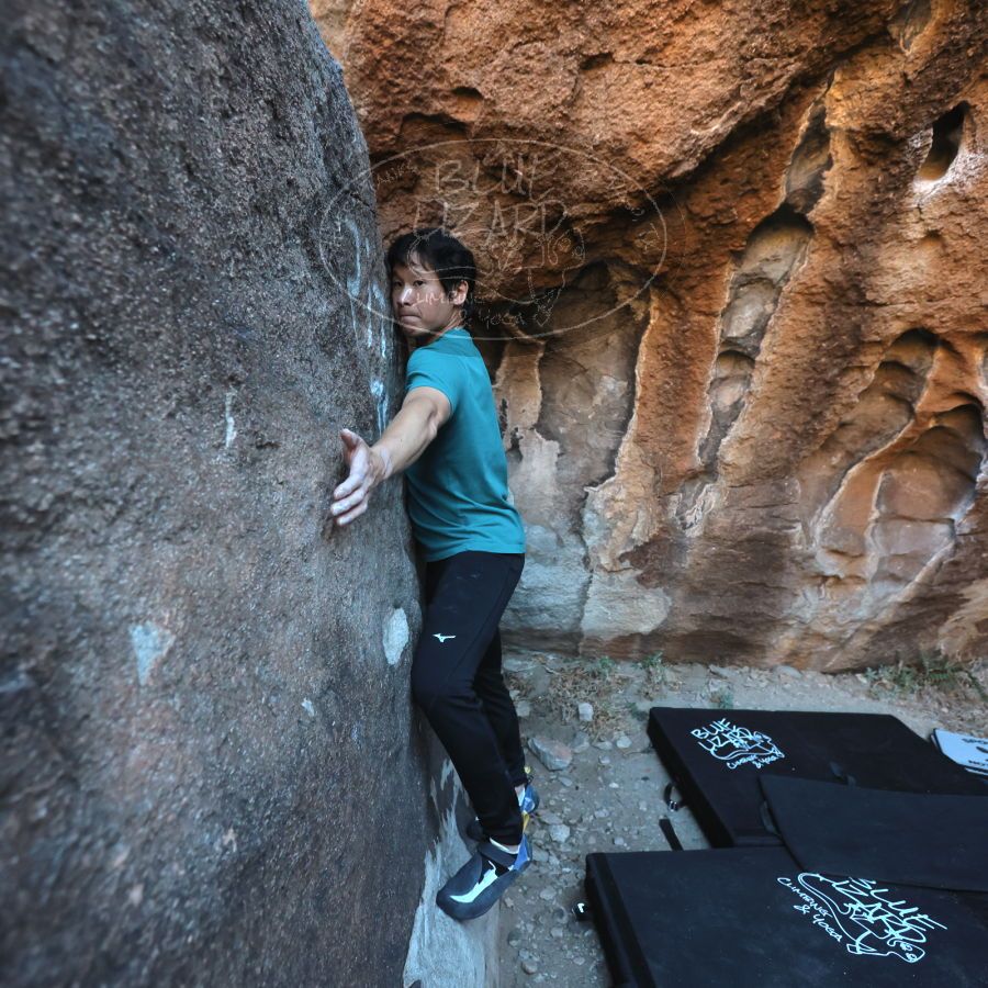 Filename: SRM_20231222_1613420.jpg
Aperture: f/4.0
Shutter Speed: 1/500
Body: Canon EOS R6
Lens: Canon EF 16-35mm f/2.8 L