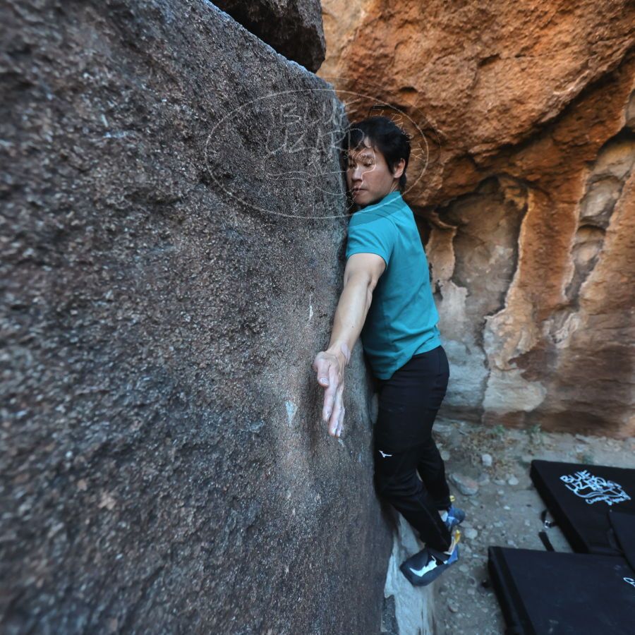 Filename: SRM_20231222_1621250.jpg
Aperture: f/4.0
Shutter Speed: 1/320
Body: Canon EOS R6
Lens: Canon EF 16-35mm f/2.8 L