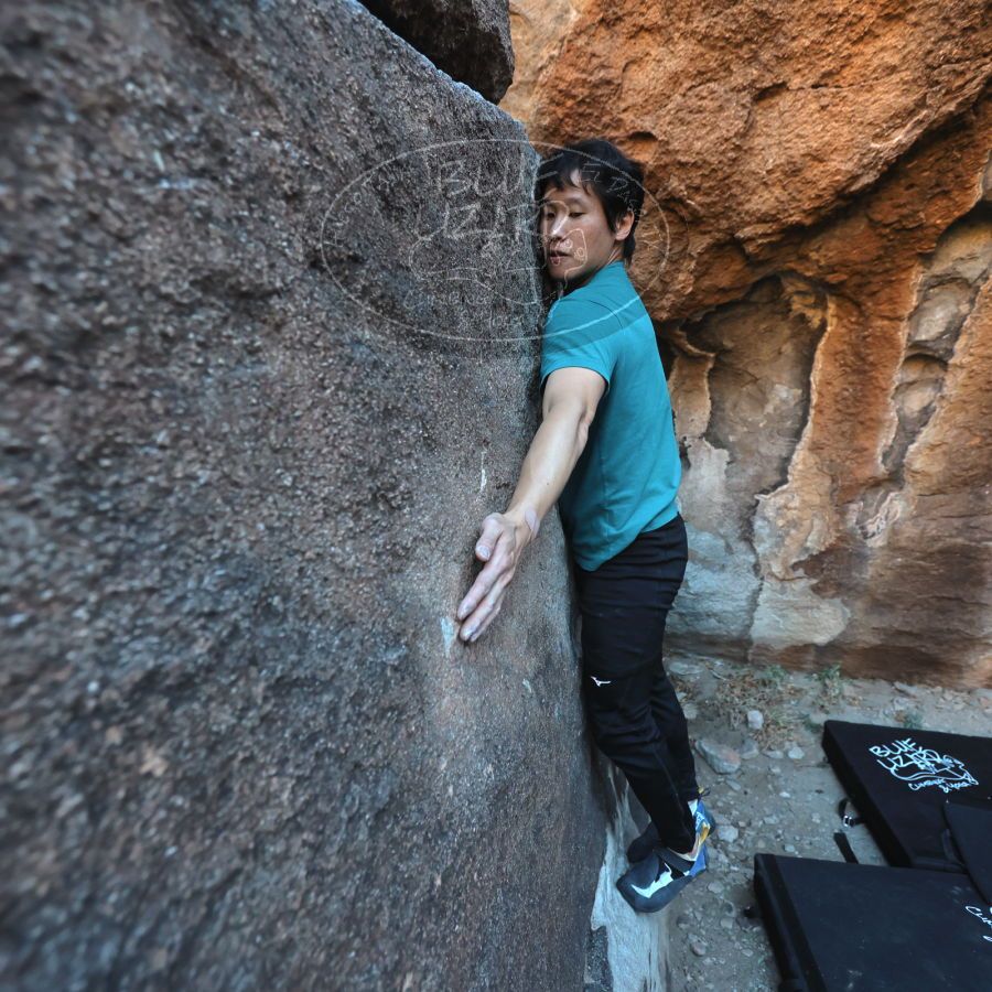 Filename: SRM_20231222_1621270.jpg
Aperture: f/4.0
Shutter Speed: 1/320
Body: Canon EOS R6
Lens: Canon EF 16-35mm f/2.8 L