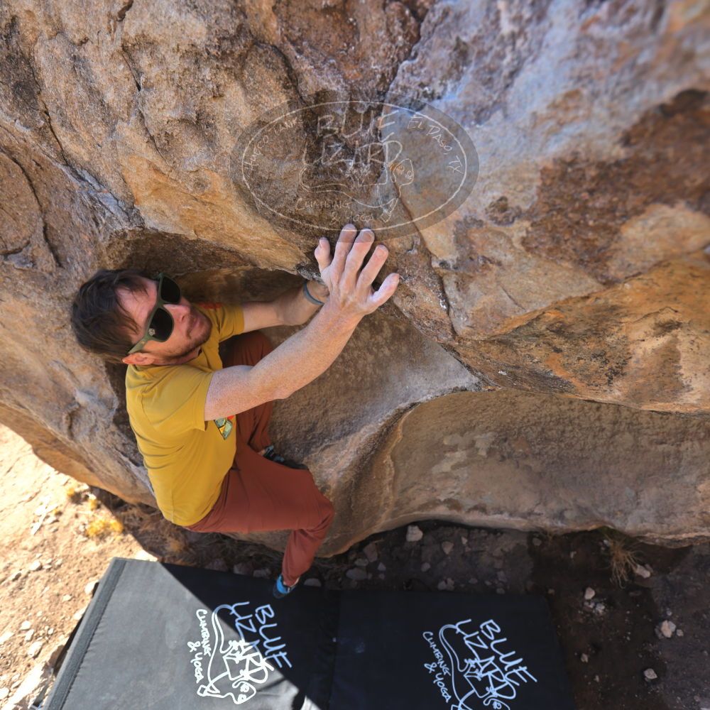 Filename: SRM_20240128_0955000.jpg
Aperture: f/4.0
Shutter Speed: 1/400
Body: Canon EOS R6
Lens: Canon EF 16-35mm f/2.8 L