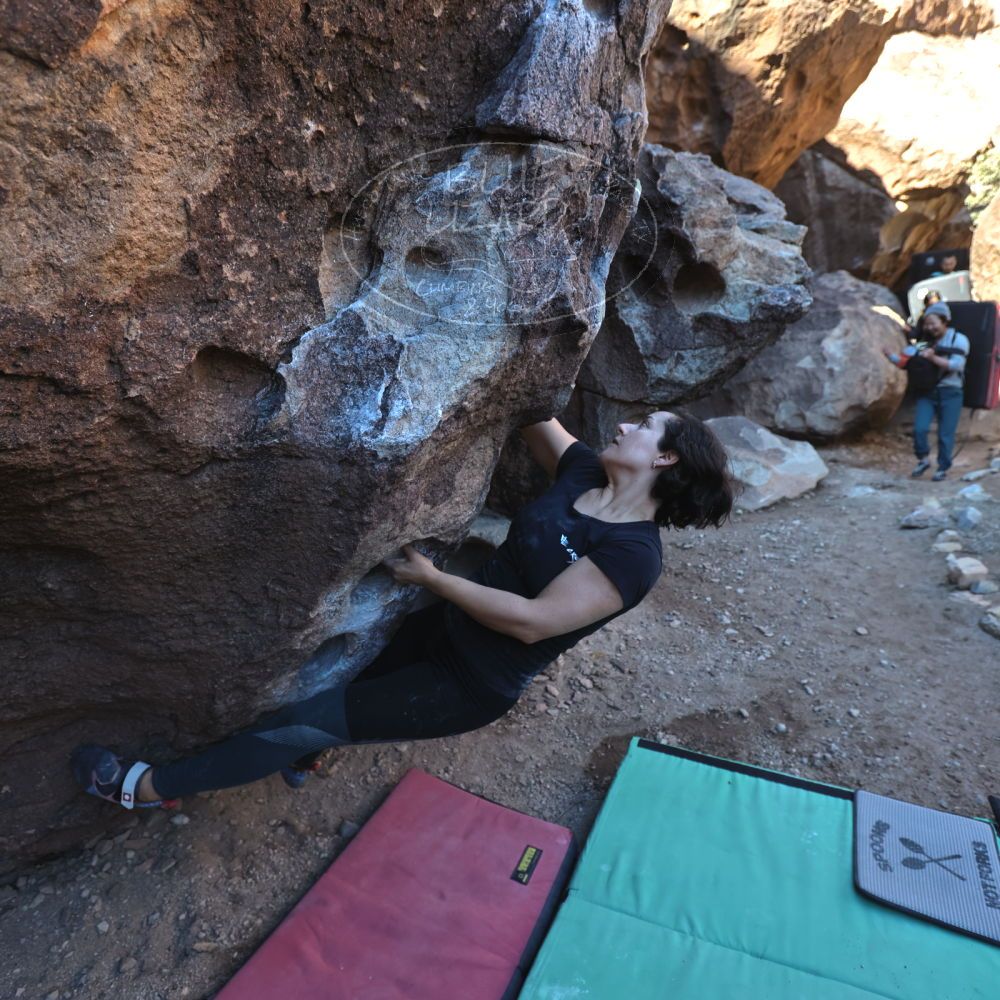 

Filename: SRM_20240128_1003000.jpg
Aperture: f/4.0
Shutter Speed: 1/400
Body: Canon EOS R6
Lens: Canon EF 16-35mm f/2.8 L