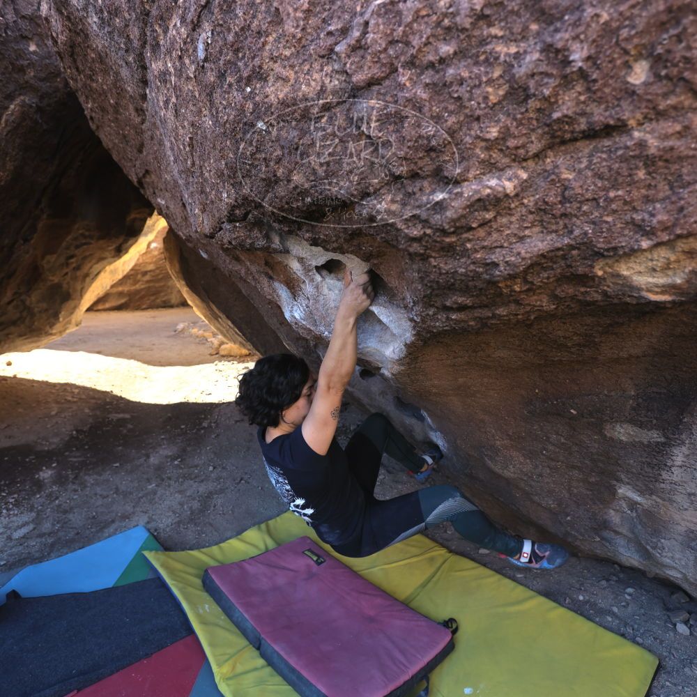 Filename: SRM_20240128_1013430.jpg
Aperture: f/4.0
Shutter Speed: 1/400
Body: Canon EOS R6
Lens: Canon EF 16-35mm f/2.8 L