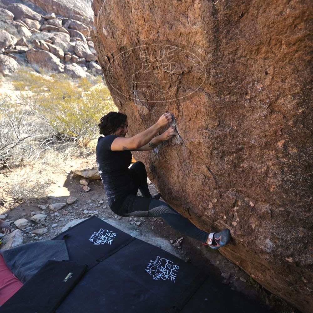 

Filename: SRM_20240128_1043490.jpg
Aperture: f/4.0
Shutter Speed: 1/400
Body: Canon EOS R6
Lens: Canon EF 16-35mm f/2.8 L