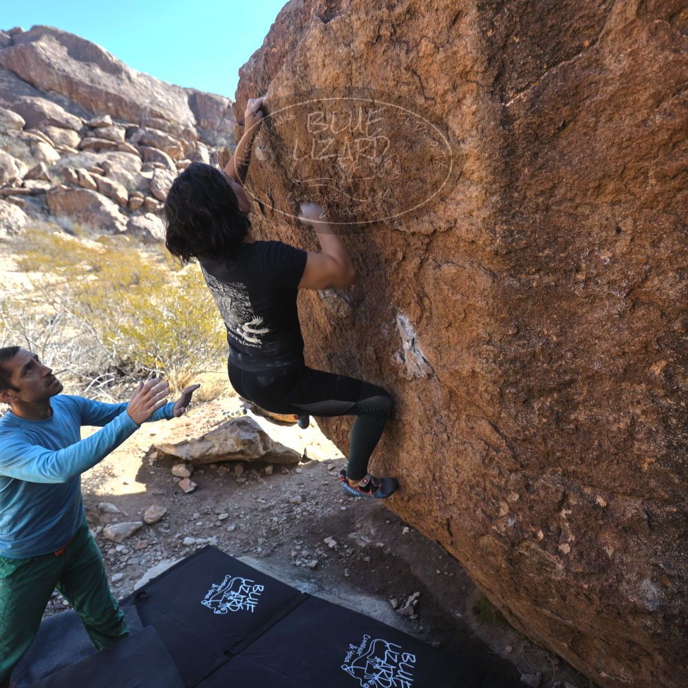 Filename: SRM_20240128_1053420.jpg
Aperture: f/4.0
Shutter Speed: 1/250
Body: Canon EOS R6
Lens: Canon EF 16-35mm f/2.8 L