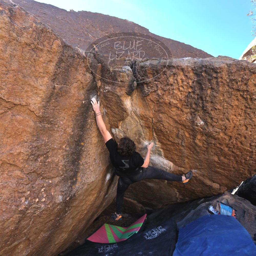 

Filename: SRM_20240128_1113280.jpg
Aperture: f/4.0
Shutter Speed: 1/200
Body: Canon EOS R6
Lens: Canon EF 16-35mm f/2.8 L