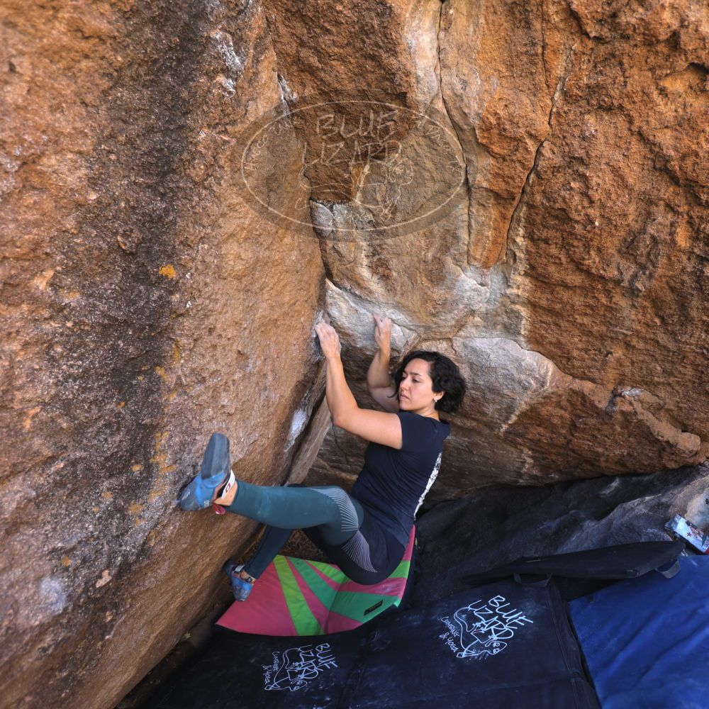 

Filename: SRM_20240128_1117300.jpg
Aperture: f/4.0
Shutter Speed: 1/200
Body: Canon EOS R6
Lens: Canon EF 16-35mm f/2.8 L