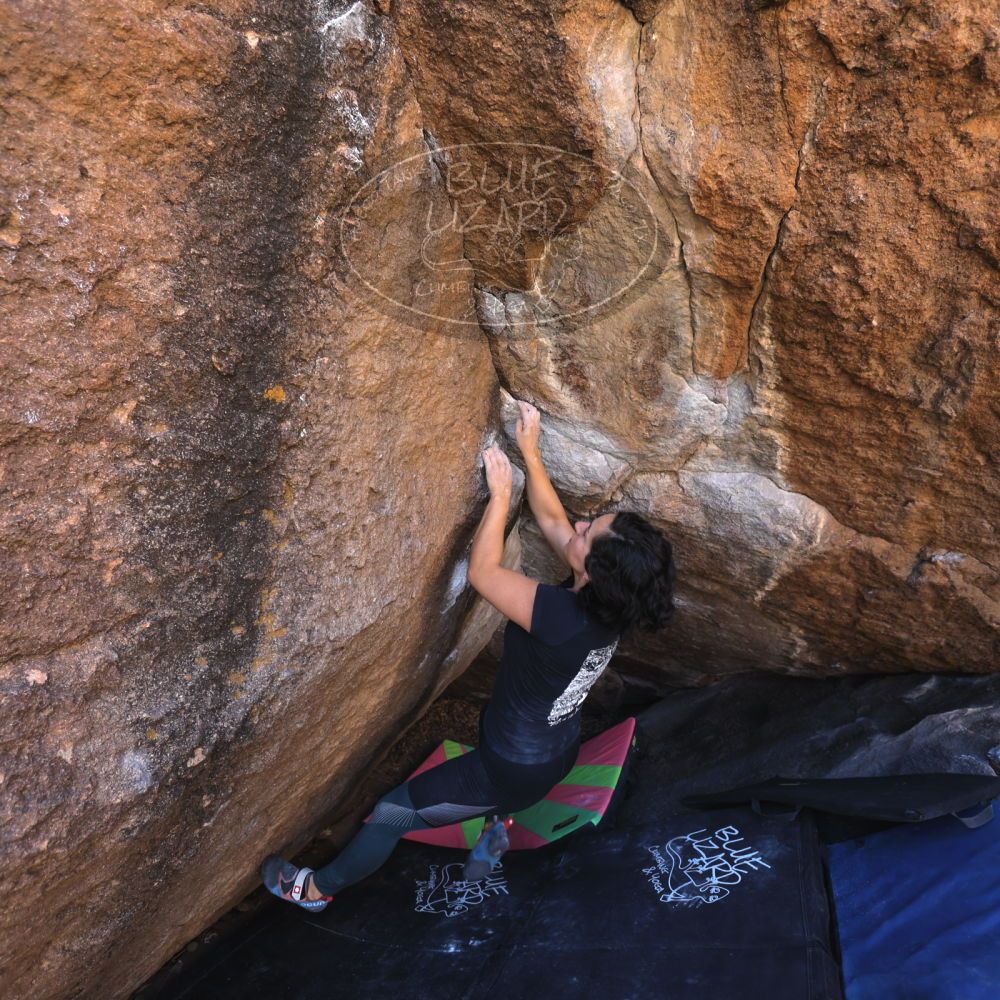 Filename: SRM_20240128_1117530.jpg
Aperture: f/4.0
Shutter Speed: 1/200
Body: Canon EOS R6
Lens: Canon EF 16-35mm f/2.8 L