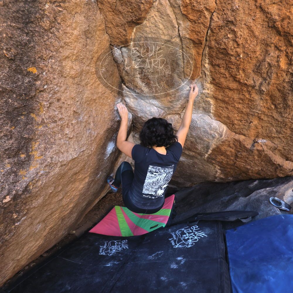 

Filename: SRM_20240128_1120010.jpg
Aperture: f/4.0
Shutter Speed: 1/200
Body: Canon EOS R6
Lens: Canon EF 16-35mm f/2.8 L