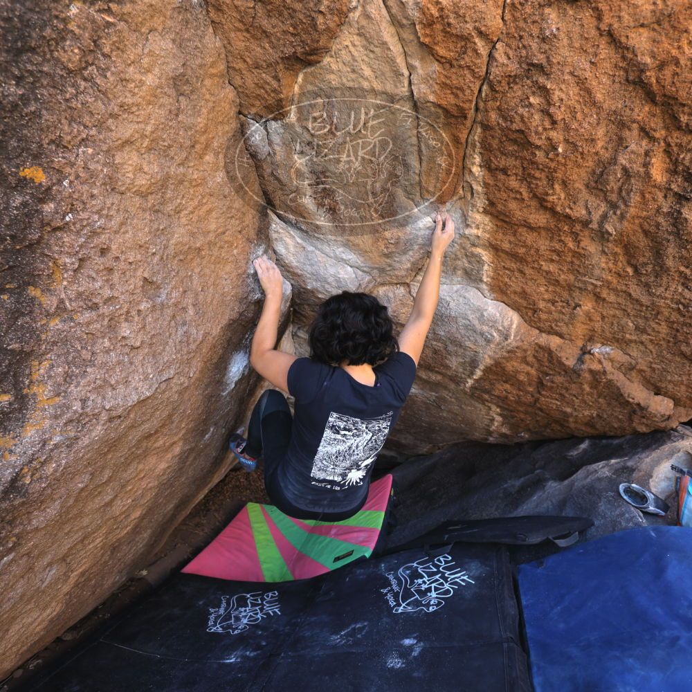 Filename: SRM_20240128_1120011.jpg
Aperture: f/4.0
Shutter Speed: 1/200
Body: Canon EOS R6
Lens: Canon EF 16-35mm f/2.8 L