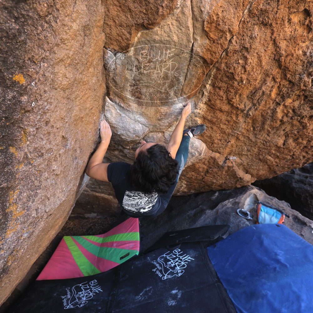 Filename: SRM_20240128_1120050.jpg
Aperture: f/4.0
Shutter Speed: 1/200
Body: Canon EOS R6
Lens: Canon EF 16-35mm f/2.8 L