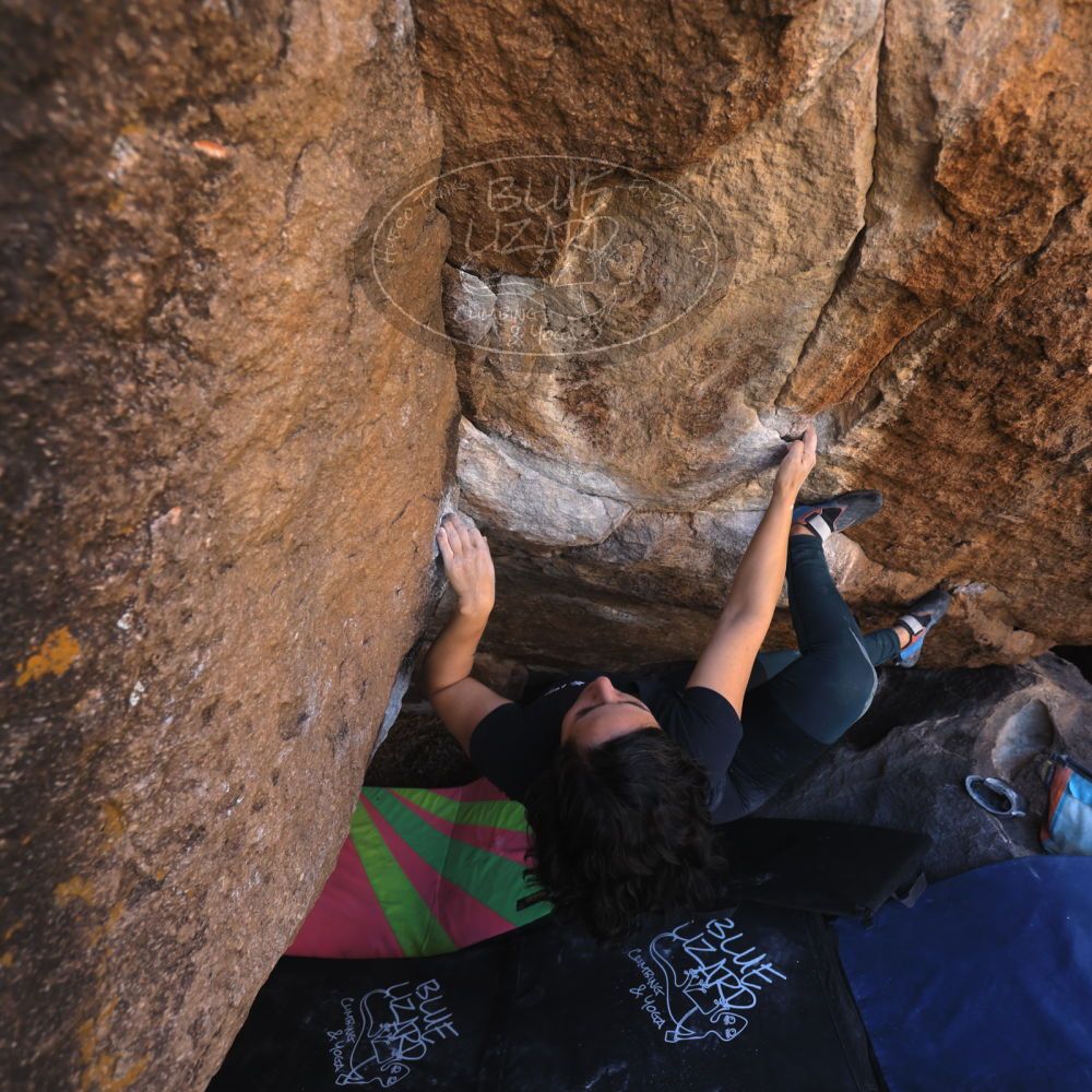 Filename: SRM_20240128_1120080.jpg
Aperture: f/4.0
Shutter Speed: 1/200
Body: Canon EOS R6
Lens: Canon EF 16-35mm f/2.8 L